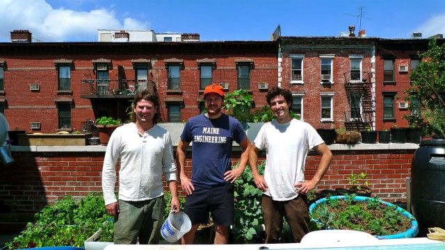 From left: Petey Freeman, Jake Cirell, Patrick Kiley. The rooftop garden consists of planters made from kiddie pools and food-grade plastic barrels that have been sawn in half. Five gallon buckets hold tomato plants, and an old refrigerator hosts a bumper crop of kale. Thereâs even a plant growing out of a small guitar. A smoker made from a barrel and spare parts sits in one corner of the rooftop garden. âIt makes the crappiest chicken taste like the best chicken in the world,â says Cirell. Current crops include tomatoes, basil, potatoes, chard, chives, and a hops plant. 